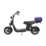 Электроскутер Skyboard BR30-2WD (Ural)
