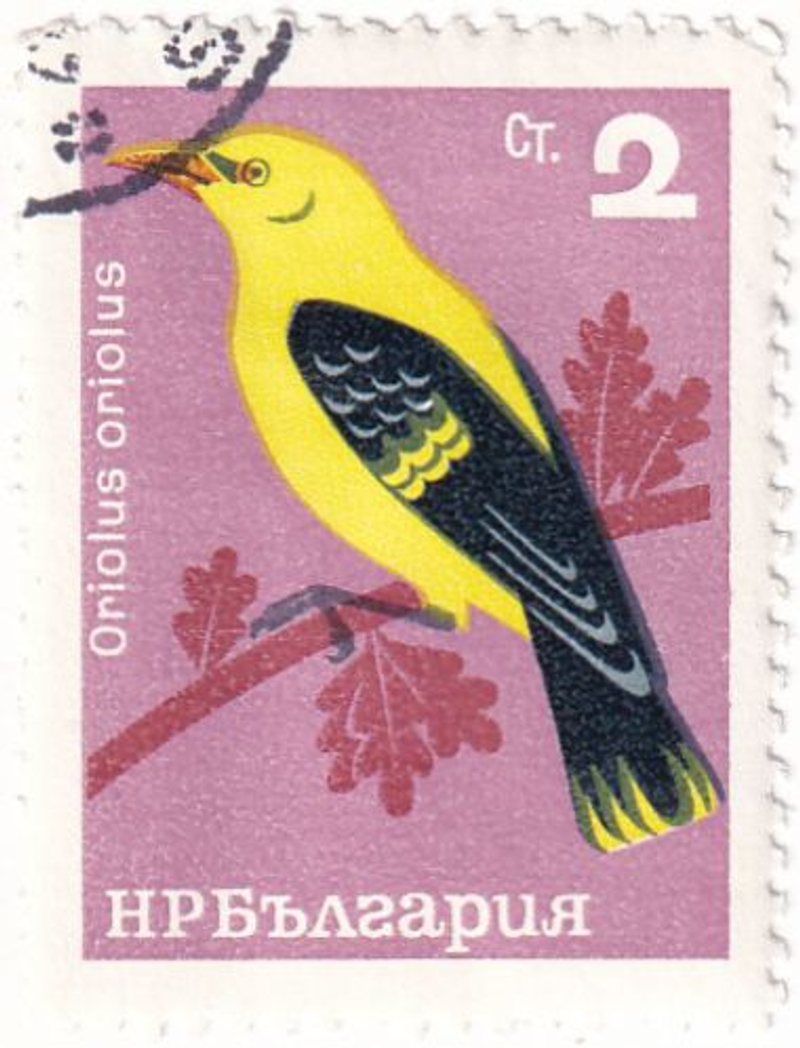 Три марки с изображением птиц, Болгария, 1965