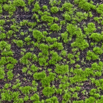 Мох искусственный микс 100Х100 см.