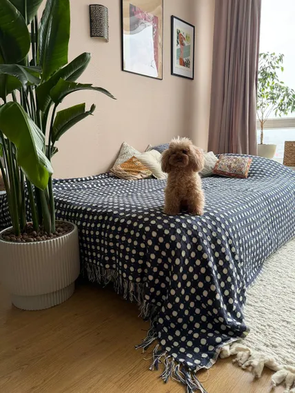 Покрывало из хлопка polka dots темно-синего цвета из коллекции essential, 230х250 см