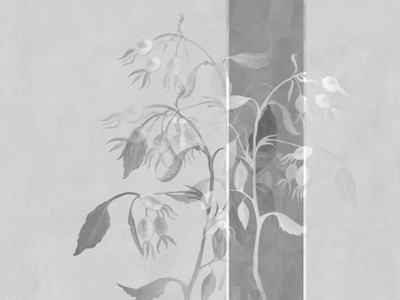 Дизайнерские обои Wall Street Bella 4