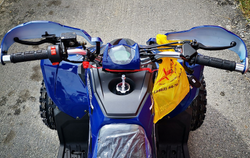 Квадроцикл MOTOLAND (МОТОЛЕНД) 125 COYOTE PRO