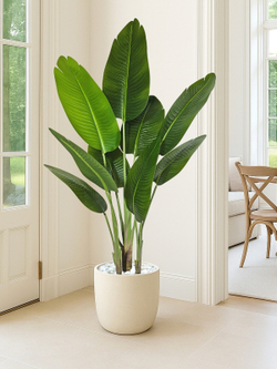 Искусственная стрелиция комнатная — искусственное растение для интерьера и дома