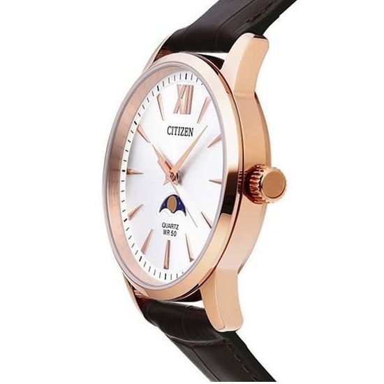 Наручные часы Citizen AK5003-05A