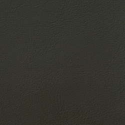 Искусственная кожа Denkart Padova plus (Денкарт Падова плюс) 13915