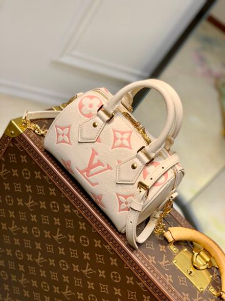 Louis Vuitton Speedy 20