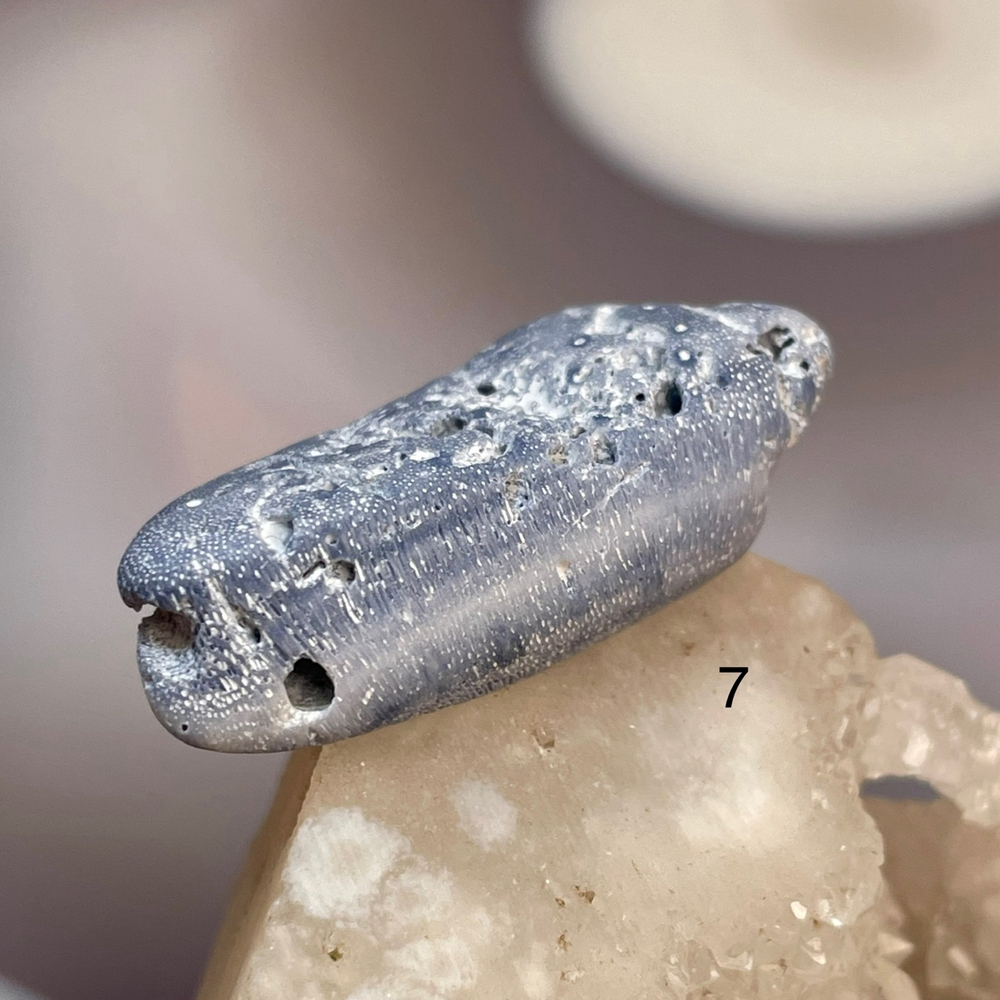 62222 Коралл голубой Галтовка 20-39мм--20