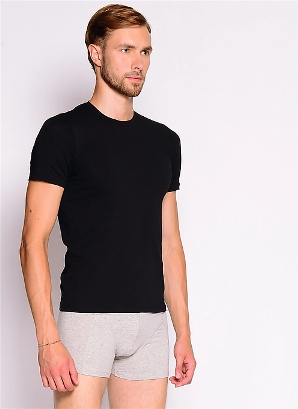 Футболка мужская Tender Cotton. Комплект из 2-х штук