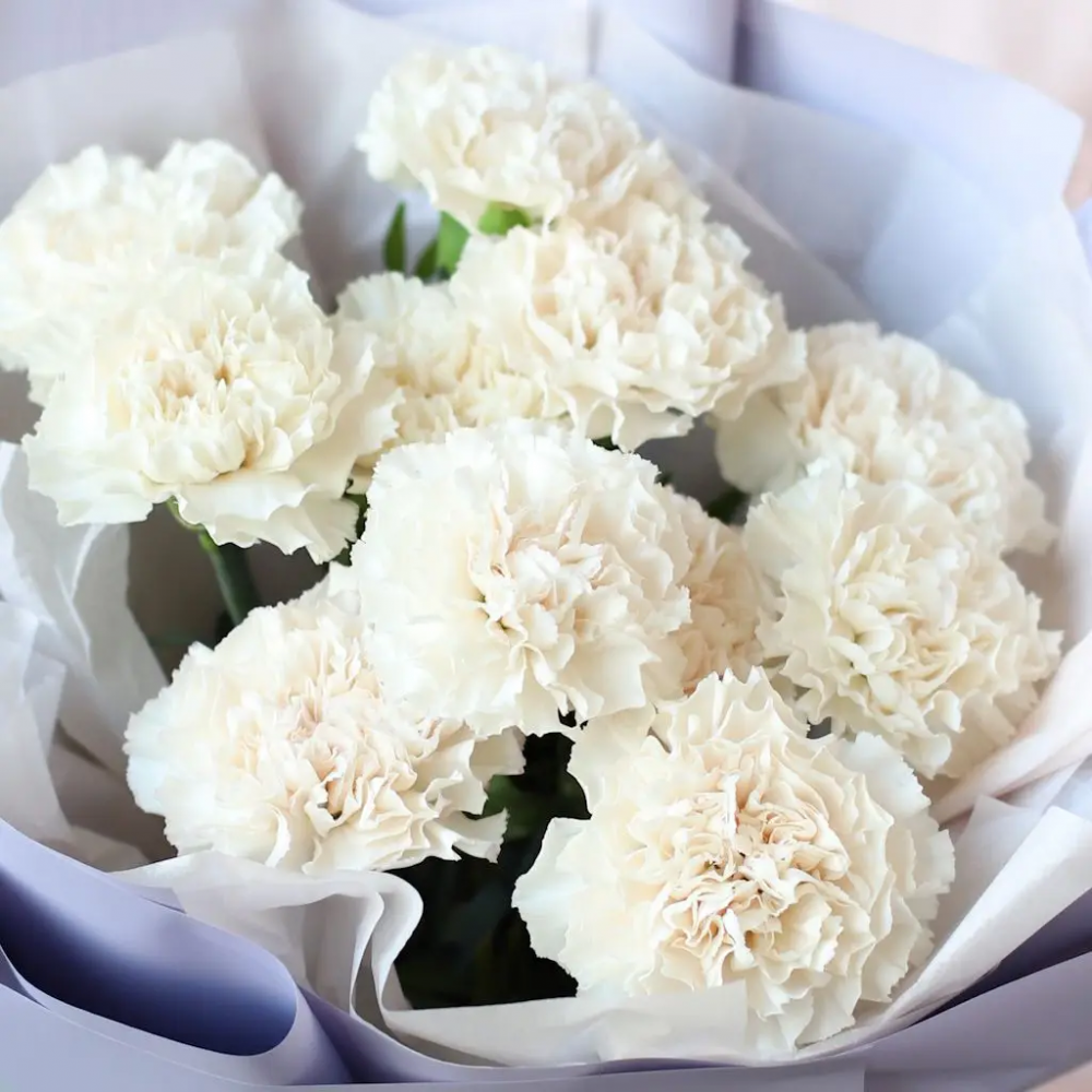 Букет белых диантусов