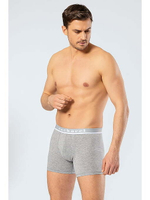 Трусы мужские боксеры серый