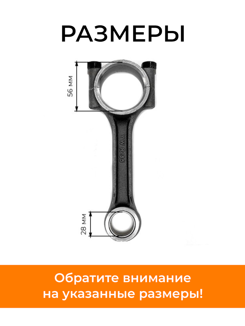 B144-1-195N-RT (2)