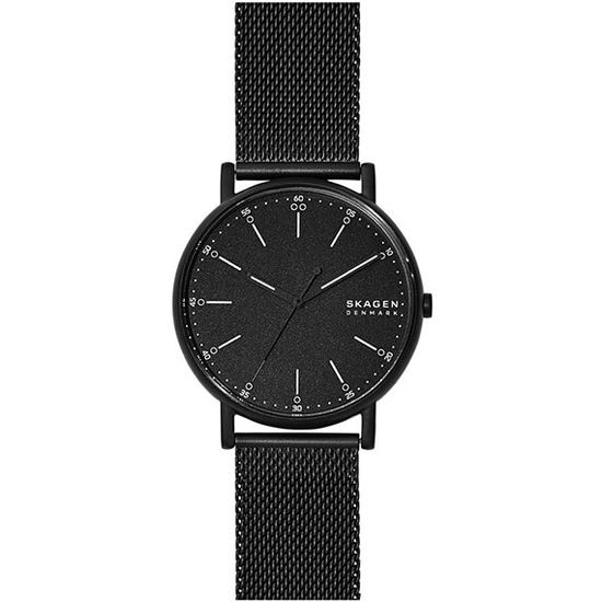 Мужские часы Skagen SKW6579
