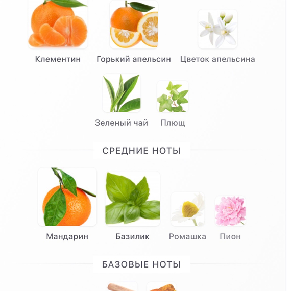 GUERLAIN Aqua Allegoria Mandarine Basilic