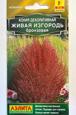 Кохия Живая изгородь бронзовая 0,1 г СМЦ-835
