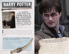 The Battle of Hogwarts - Harry Potter