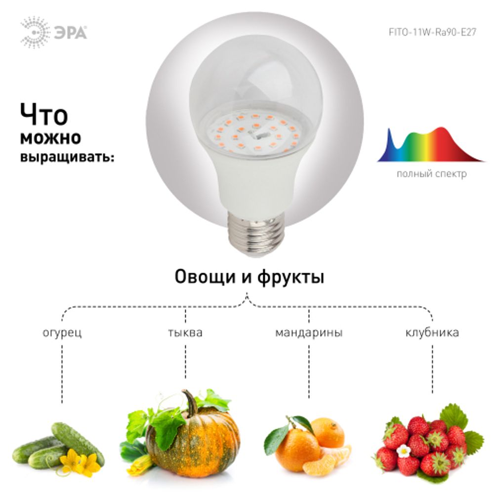 Фитолампа для растений светодиодная ЭРА FITO-11W-Ra90-E27 полного спектра 11 Вт Е27