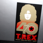 T. Rex / The Vinyl Collection (8LP)