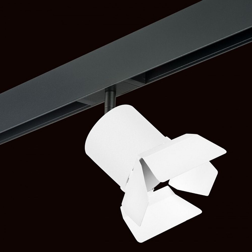 Светильник на штанге Lightstar Rullo PRO3486486