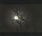 HDJ Lev + СерьГа / Ночная дорога в страну чудес (CD)