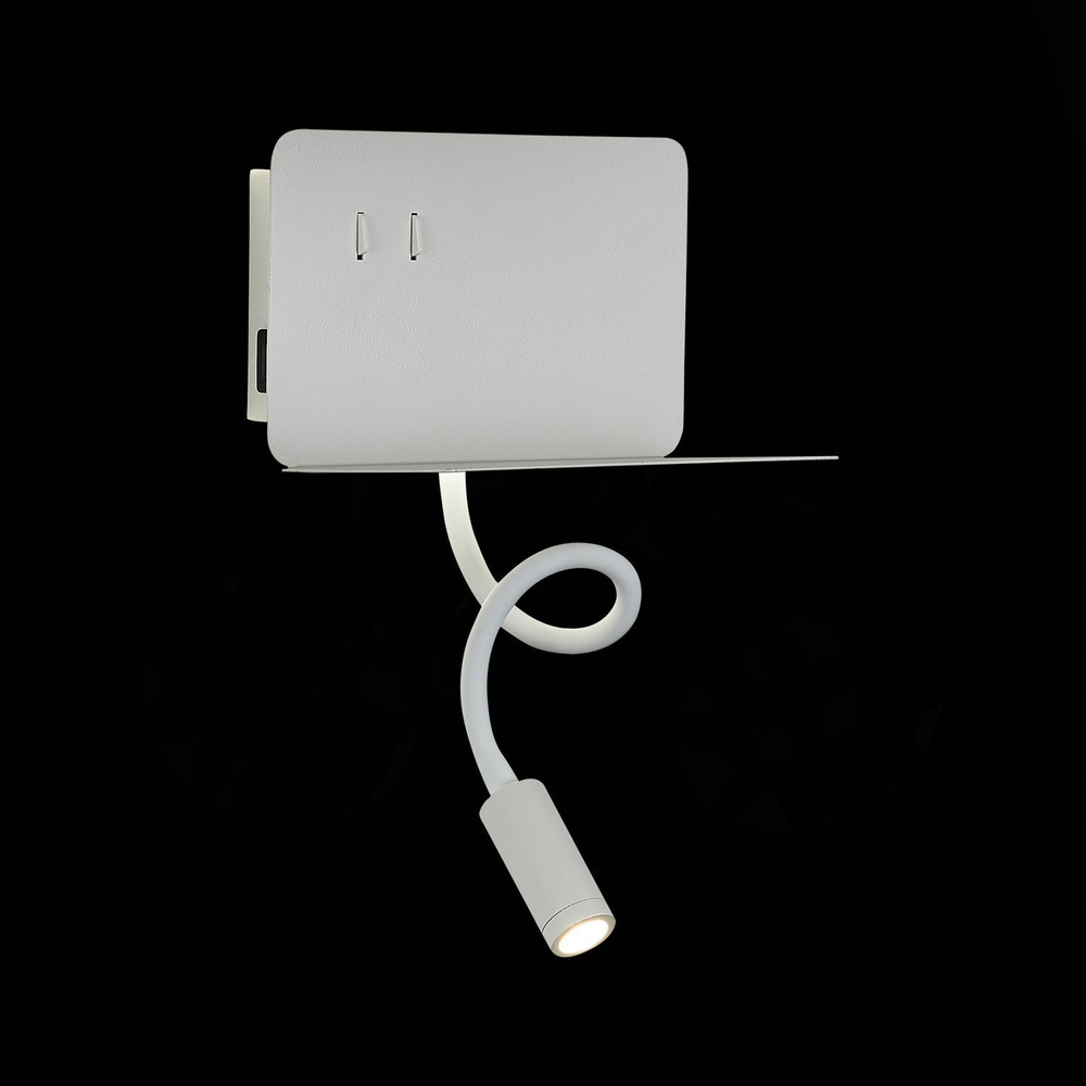 Светильник настенный ST Luce SL1576.501.02