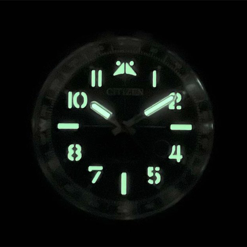 Мужские наручные часы Citizen CA0790-83E
