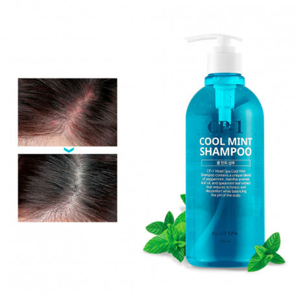 Охлаждающий шампунь с ментолом - Esthetic House CP-1 Head Spa Cool Mint Shampoo, 500 мл