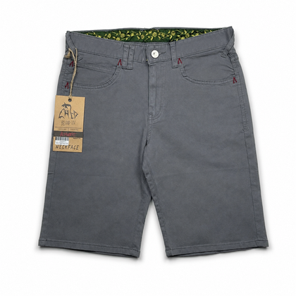 Шорты Altamont