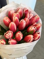 Букет из 21 классического красно-белого тюльпана