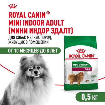 Royal Canin Mini Indoor Adult Мини Индор Эдалт Корм сухой для взрослых собак мелких пород в возрасте от 10 месяцев живущих в помещении 500г
