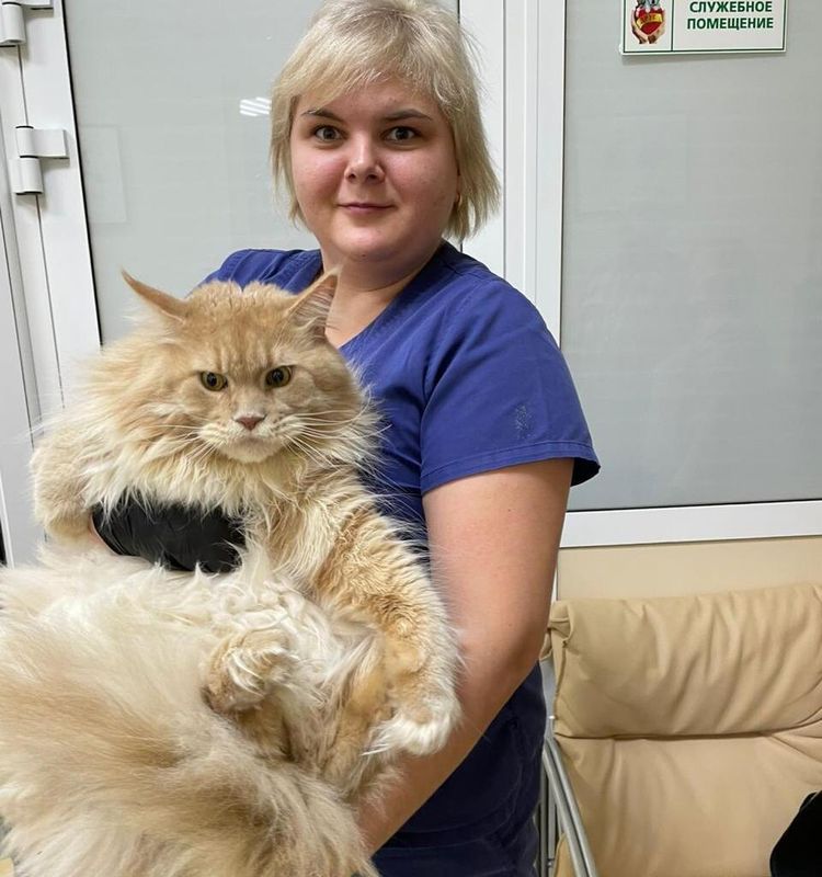 Стоматология