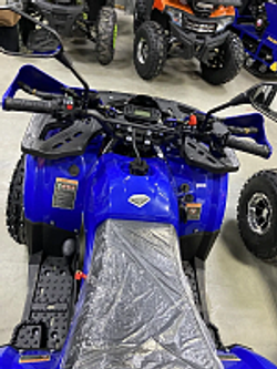 Квадроцикл PROMAX WILD 2.0 190 PRO (2025)