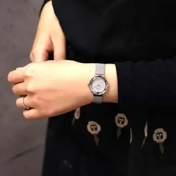 Наручные часы Skagen 456SSS