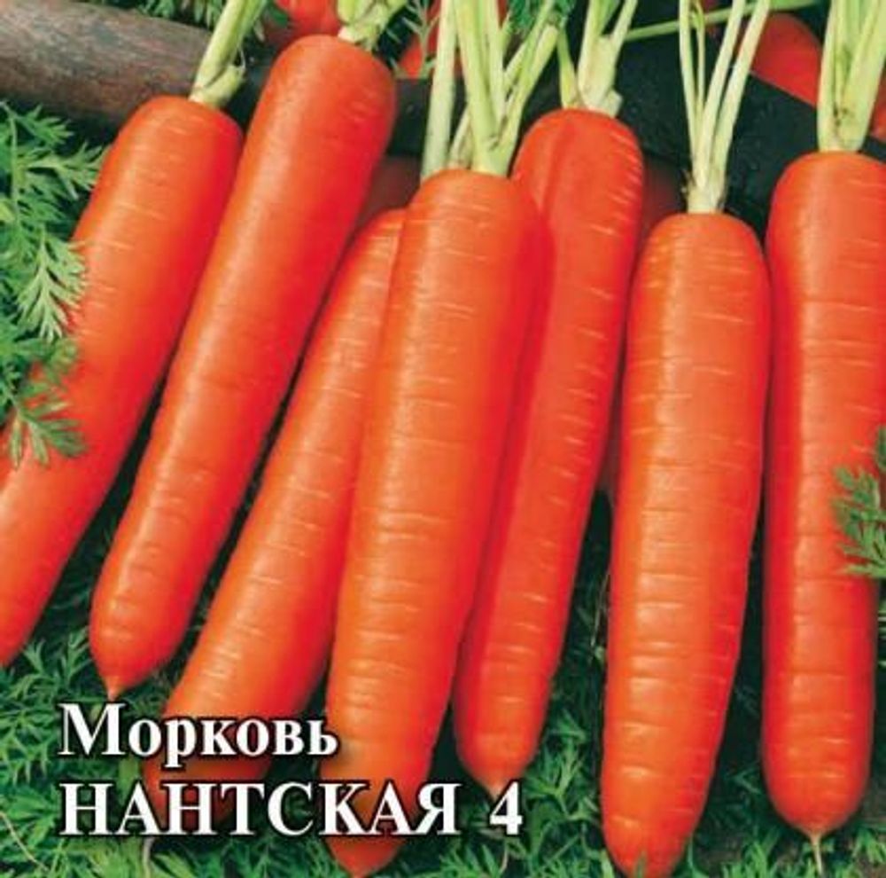 Морковь Нантская 4 25 гр\Гавриш