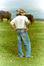 Ремень Called a Garment Longhorn Fidlock Belt "Brown"