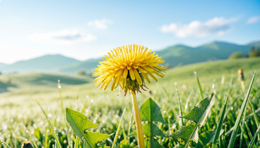 Весенняя перезагрузка печени: как провести мягкий детокс после зимы без вреда для здоровья