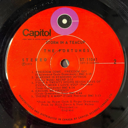 Винтажная виниловая пластинка LP The Fortunes Storm In A Teacup (USA 1972)