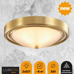 Накладной светильник Lumion 5259/2C