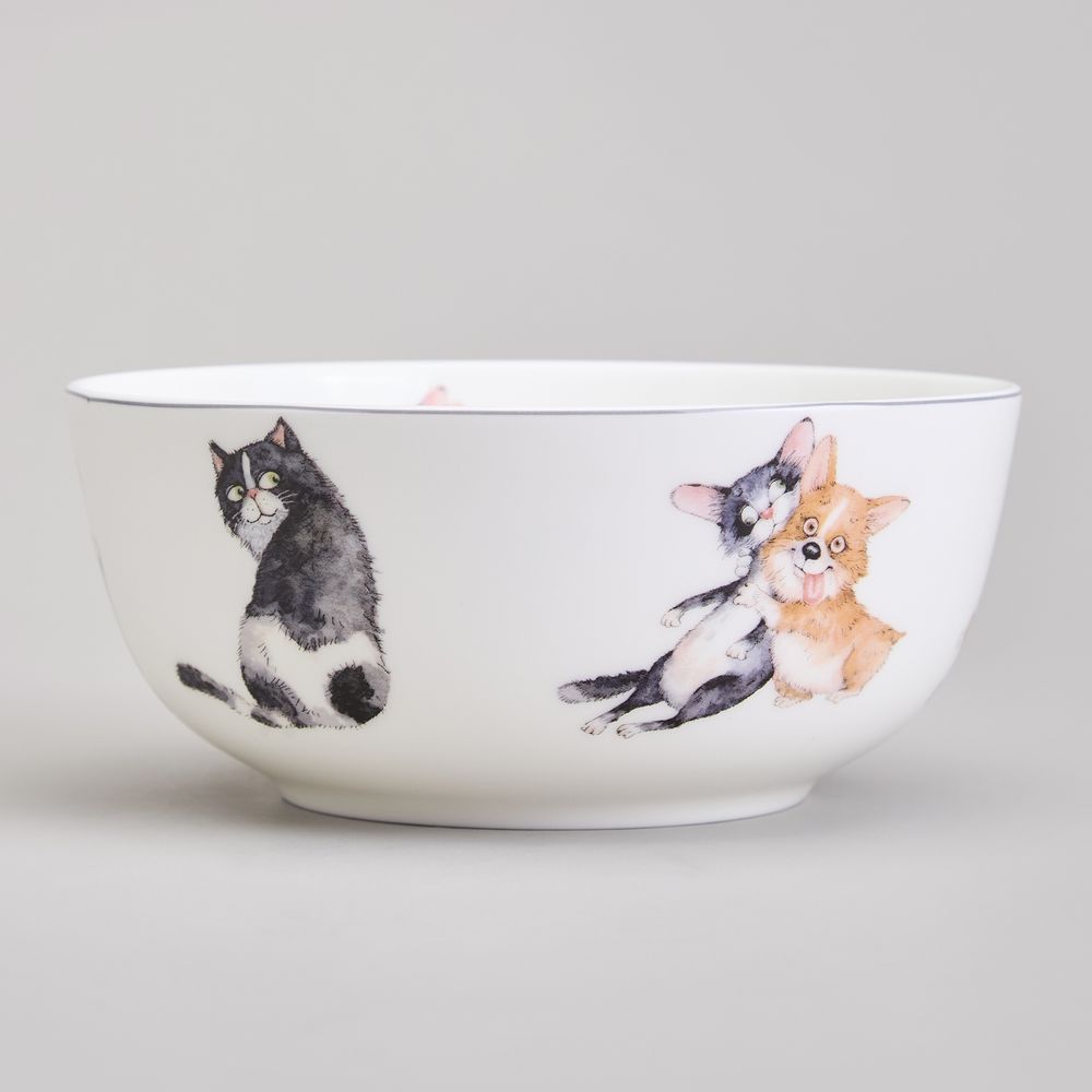 САЛАТНИК - ТАРЕЛКА СУПОВАЯ LEFARD "ЛУЧШИЕ ДРУЗЬЯ" 15,5*7 СМ 800 МЛ (КОР=24ШТ.)