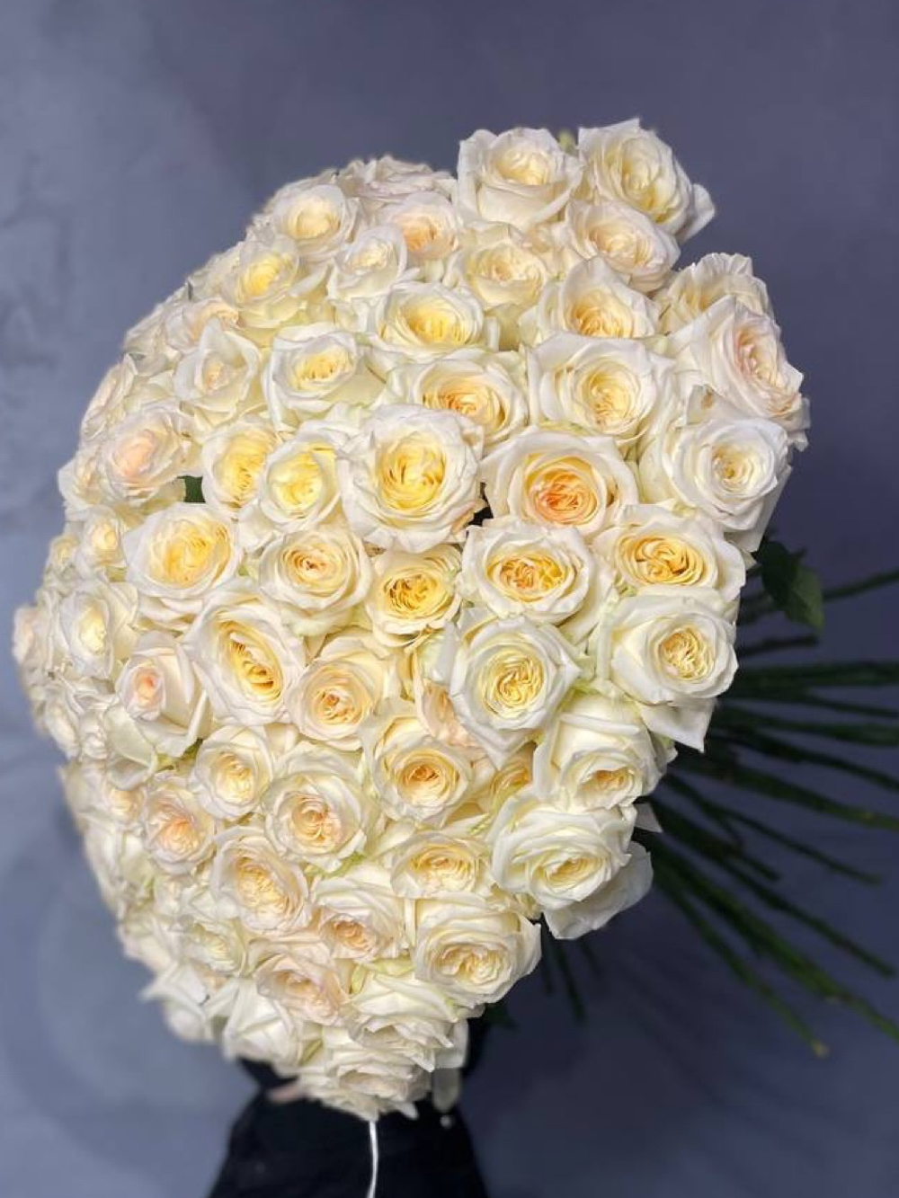 101 роза Candlelight Пионовидная Премиум