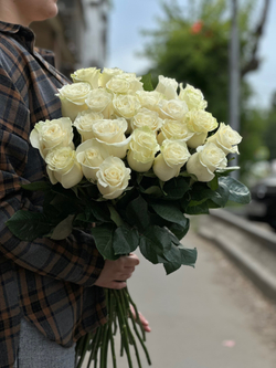 Белая роза сорт «Мондиаль» (Эквадор)
