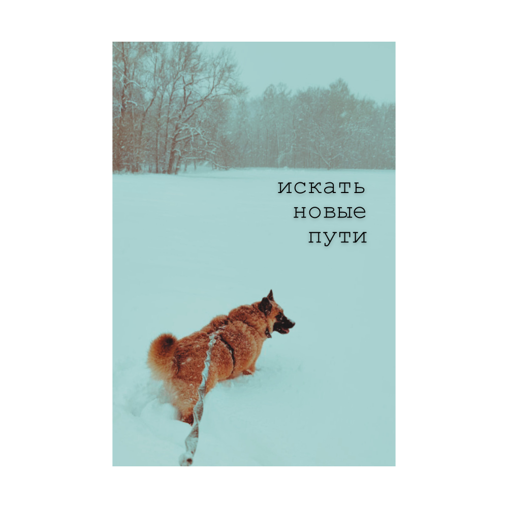 Открытка «Искать новые пути» (100 ₽)