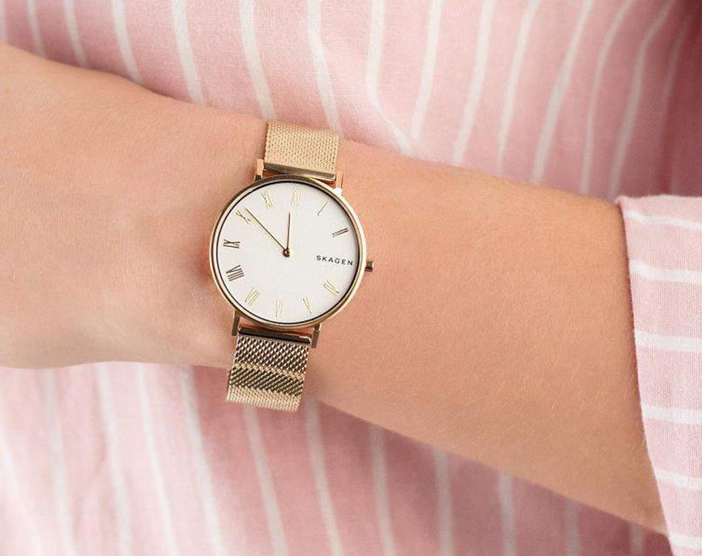 Женские наручные часы Skagen SKW2713