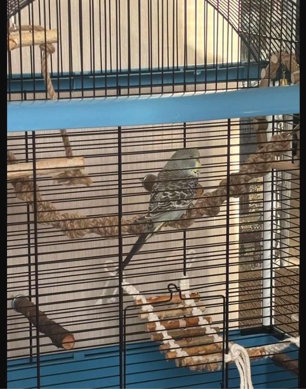 Канат джутовый для птиц 40см