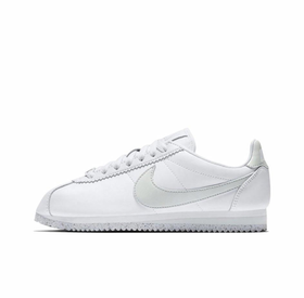 Женские кроссовки Nike Cortez Flyleather 'White Light Silver' AR4874-100