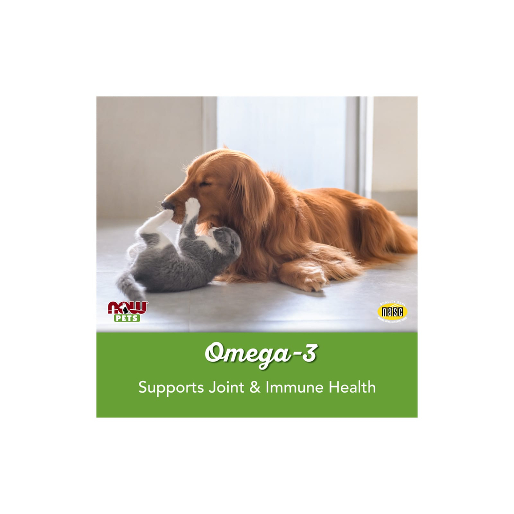 NOW Foods, Pets, омега-3 для собак и кошек, отличный рыбный вкус, 180 мягких таблеток, 252 г (8,9 унции)