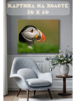 Картина на стену 40 X 50 Птица тупик