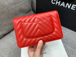 Chane1 WOC 19 cm