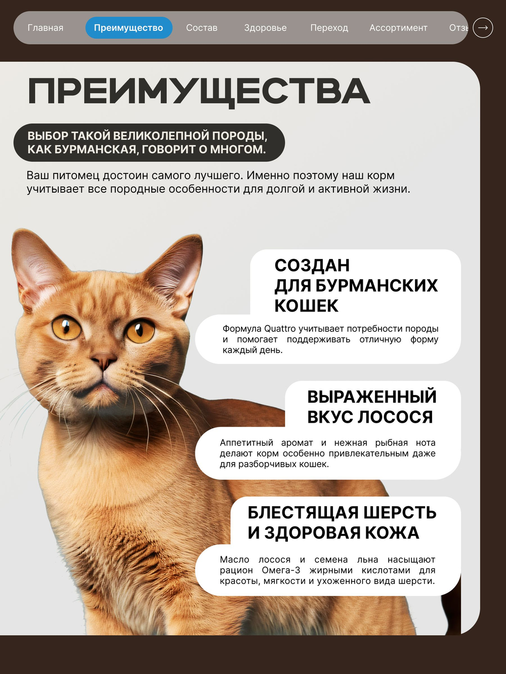 Корм сухой для взрослых кошек породы Бурманская, с лососем, 2 кг, QUATTRO