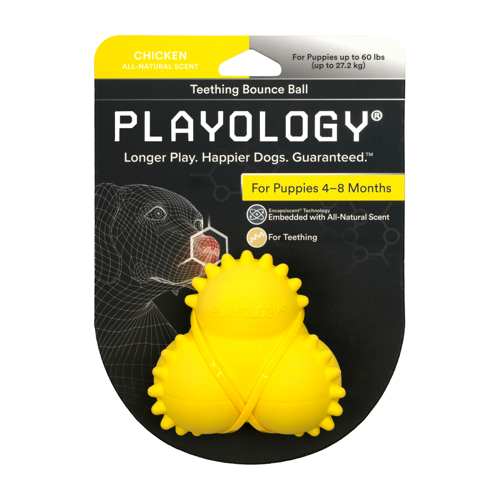 Playology дентальный жевательный тройной мяч SQUEAKY BOUNCE BALL для щенков 4-8 месяцев с ароматом курицы, цвет желтый