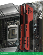 Оперативная память Patriot DDR4 Viper Elite II RTL Gaming (PVE2464G320C8K)